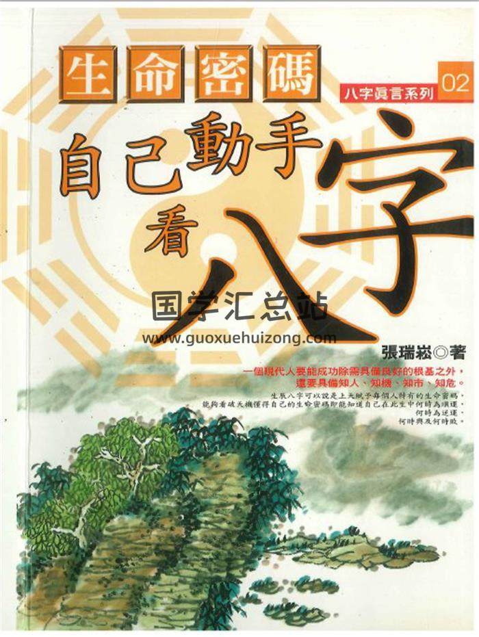 张瑞崧《生命密码自己动手看八字》194页PDF电子书-封面命理学