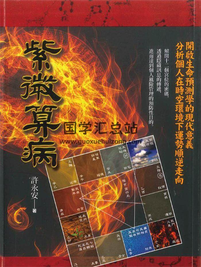 许永安《紫微算病》652页PDF电子书-封面紫微斗数