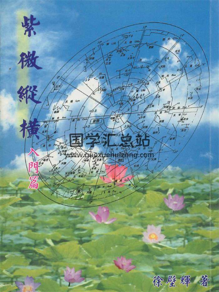 徐壁辉著《紫微纵横入门篇》382页PDF电子书-封面紫微斗数
