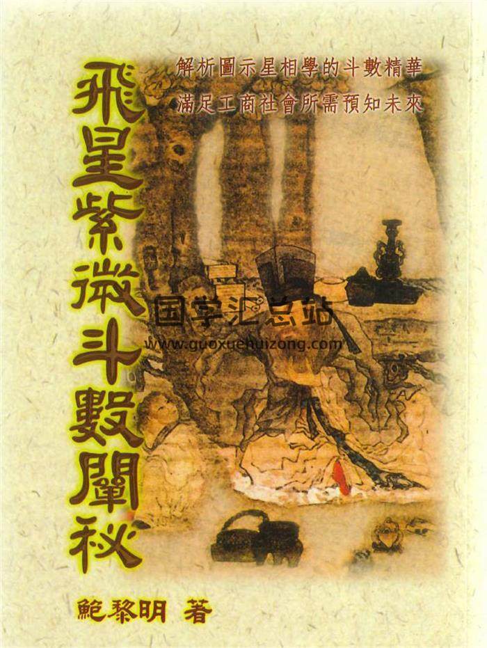 鲍黎明《飞星紫微斗数阐秘》482页PDF电子书-封面紫微斗数