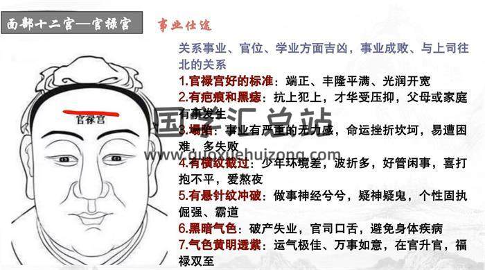 持敏《道传面相》31集相学视频-封面相学