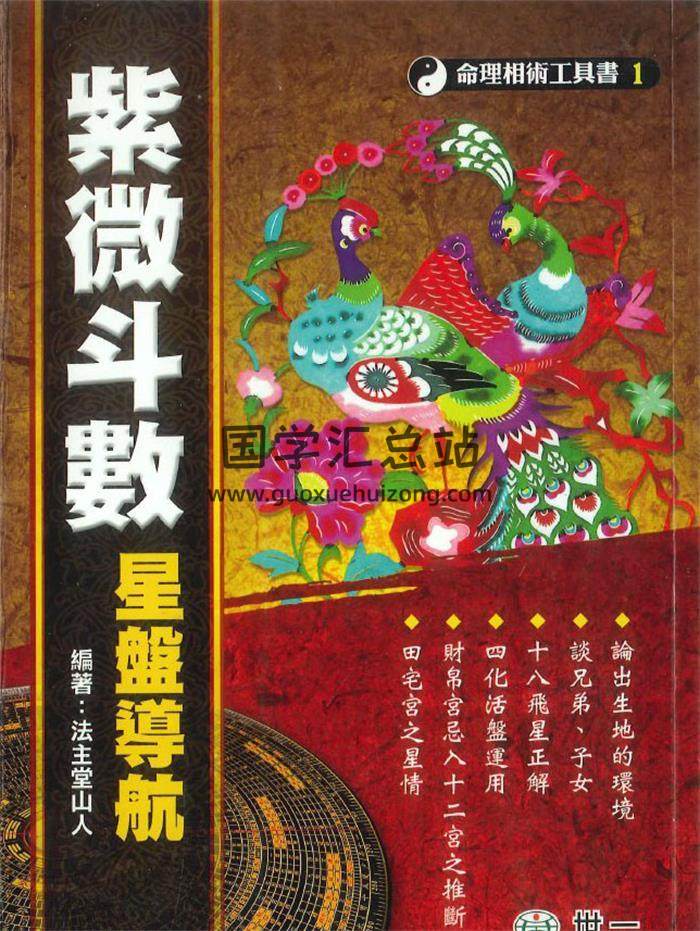 法主堂山人《紫微斗数星盘导航》402页PDF电子书-封面紫微斗数