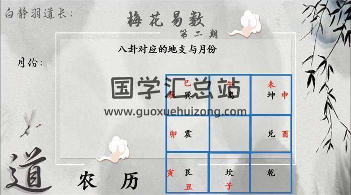 白静羽《梅花易数》篇23集梅花易数视频-封面梅花易数