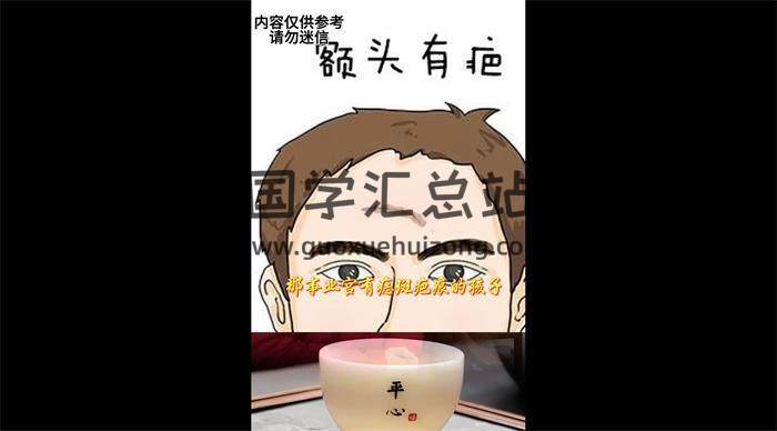 张恒嘉《职业面相识人课》共50集相学视频-封面相学