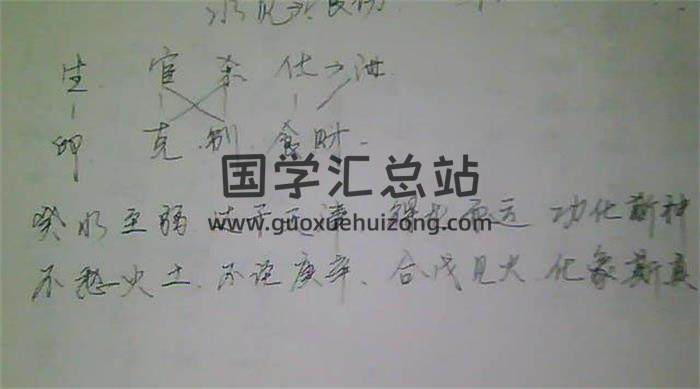兴易 2019《子平盲派》51集八字视频-封面命理学