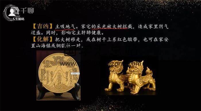 无咎老师《大众环境实战课》12集风水视频-封面风水