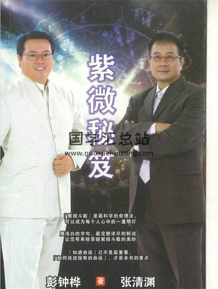 佐藤文琴著《紫薇斗数》239页PDF电子书-封面紫微斗数