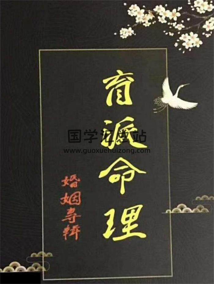 《盲派命理婚姻专辑》盲派高级班讲义打印版228页PDF电子书-封面命理学