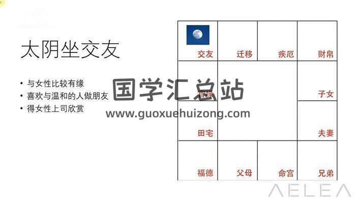爱丽娅《紫微斗数初级班》24集紫微斗数视频-封面紫微斗数