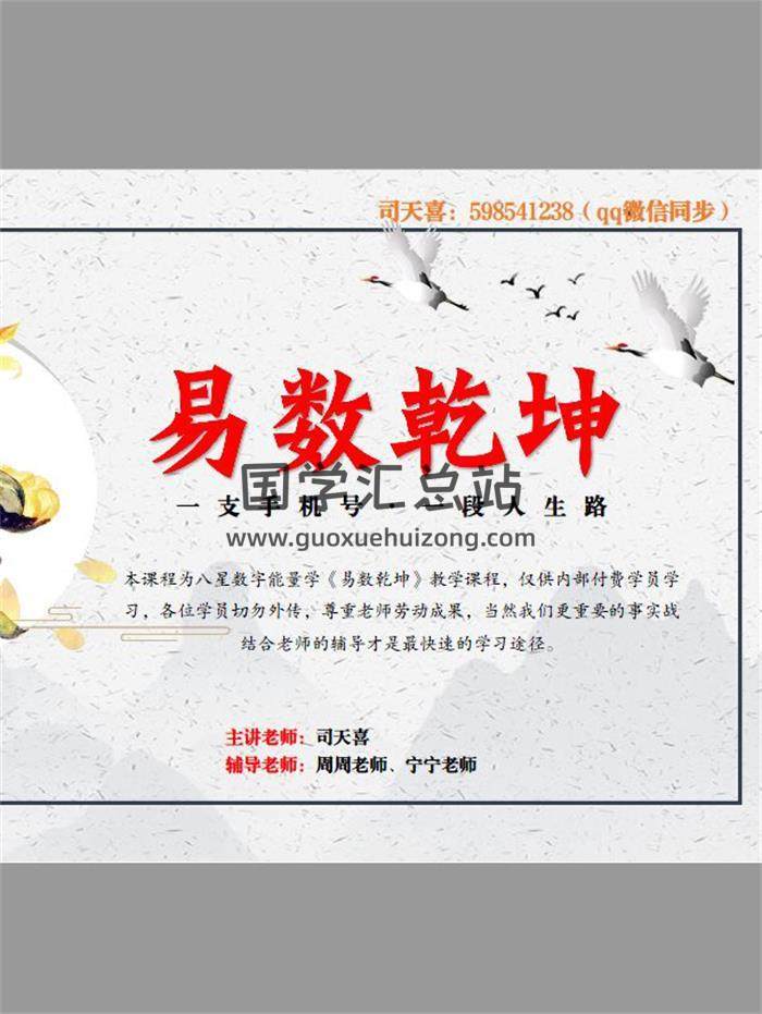 司天喜《八星数字能量学系统班课件》338页PDF电子书-封面易学