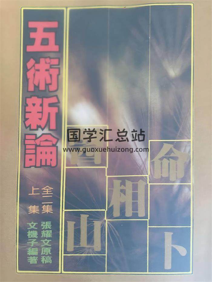 张耀文《五术新论》上下册PDF电子书-封面易学