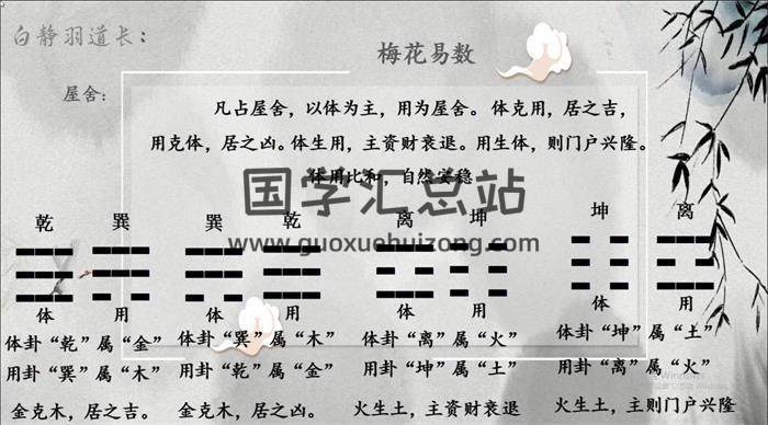 白静宇《道家梅花象学文化课》24集梅花易数视频-封面梅花易数