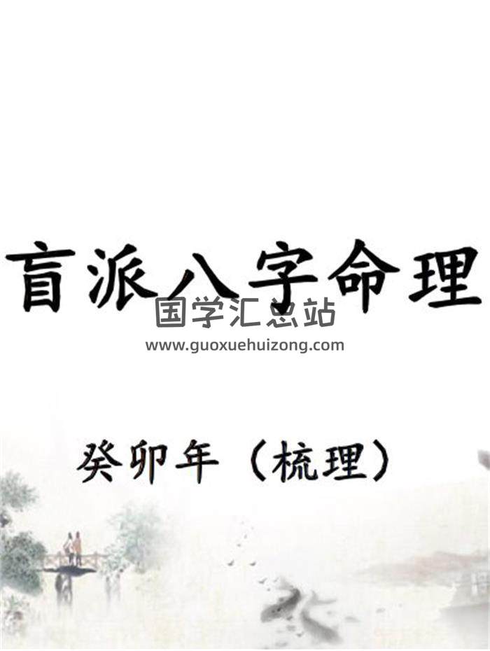 催文举《盲派八字笔记》297页PDF电子书-封面命理学