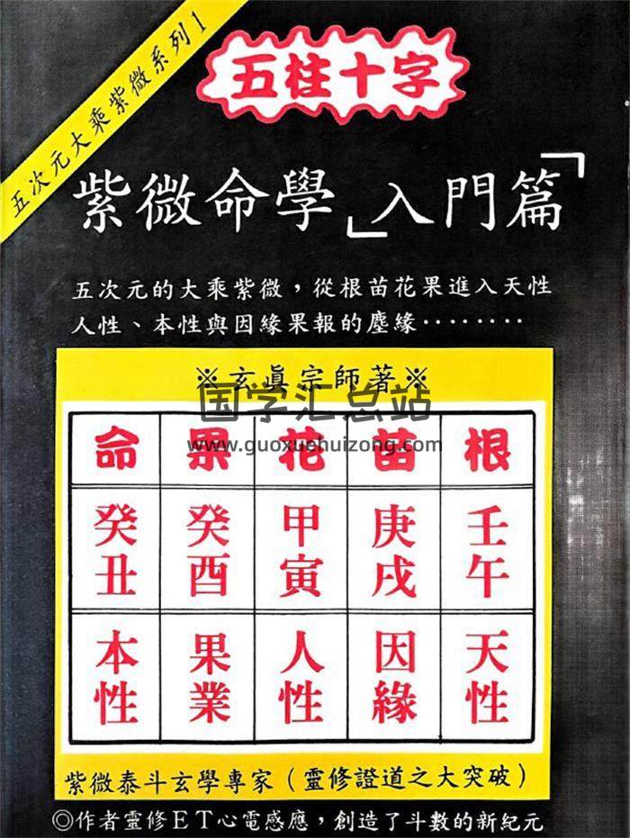 正玄山人《五柱十字 紫微命学入门篇》217页PDF电子书-封面紫微斗数
