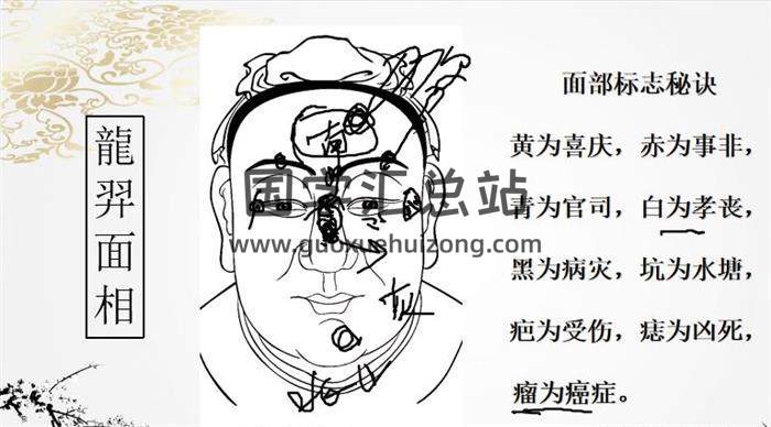 龙羿《面相弟子内训》60节相学视频-封面相学
