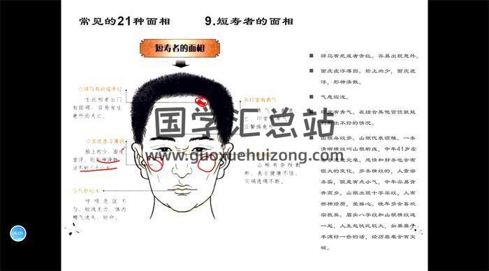 慧清《麻衣神相》15集相学视频-封面相学