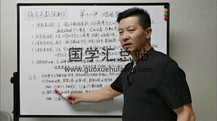 张老师《张老师讲梅花》23集梅花易数视频-封面梅花易数