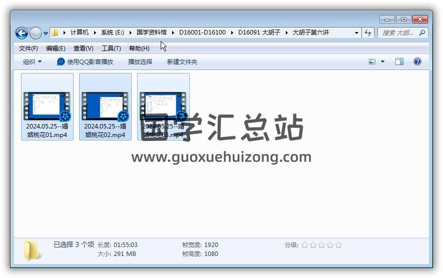大胡子《河洛派紫微斗数》甲辰年河洛宫诀课程29集紫微斗数视频+2份文档 紫微斗数 第3张-国学站