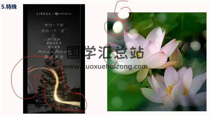 照明居士《头像分析高级班》20集视频-封面易学