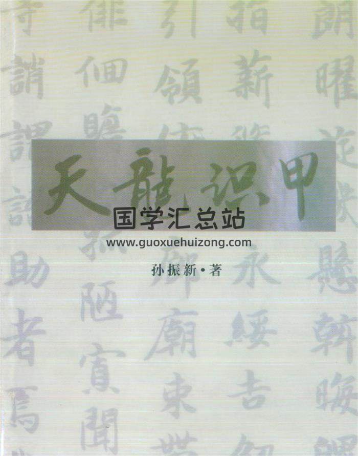 孙振新《丧葬礼仪：天龙识甲》215页PDF电子书-封面风水
